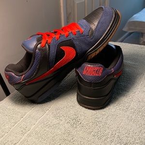 Nike SB Dunk 6.0 Oncore